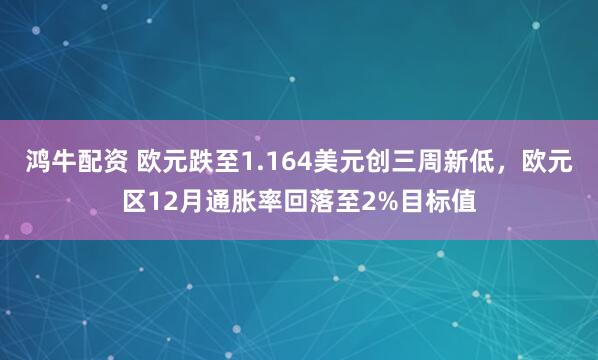 鸿牛配资 欧元跌至1.164美元创三周新低，欧元区12月通胀率回落至2%目标值
