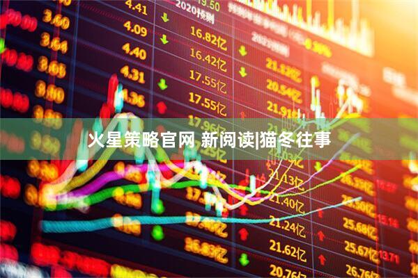 火星策略官网 新阅读|猫冬往事