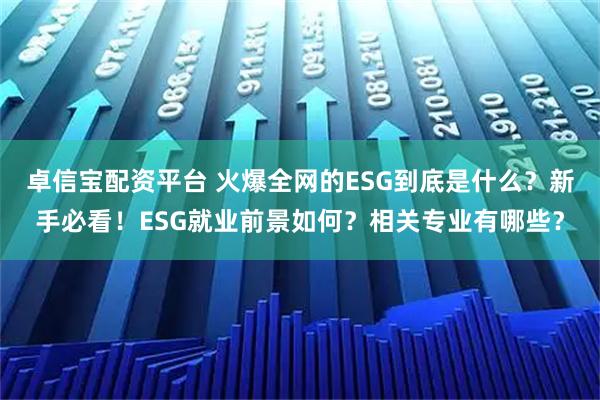 卓信宝配资平台 火爆全网的ESG到底是什么？新手必看！ESG就业前景如何？相关专业有哪些？
