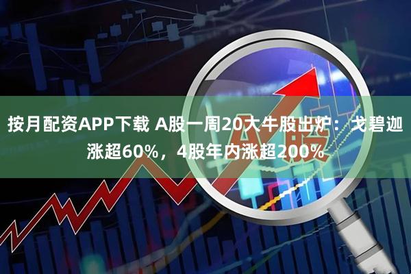 按月配资APP下载 A股一周20大牛股出炉：戈碧迦涨超60%，4股年内涨超200%